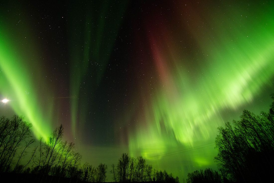 Aurora boreal verde e intensa sobre un bosque de Alaska