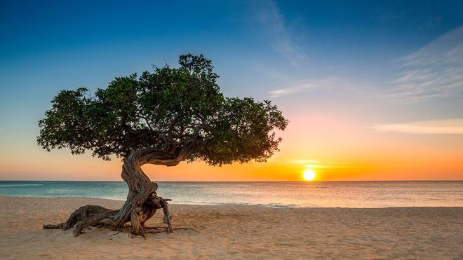 Aruba