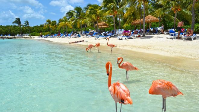 Aruba