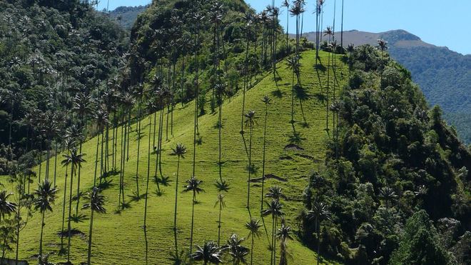 Colombia