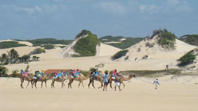Natal