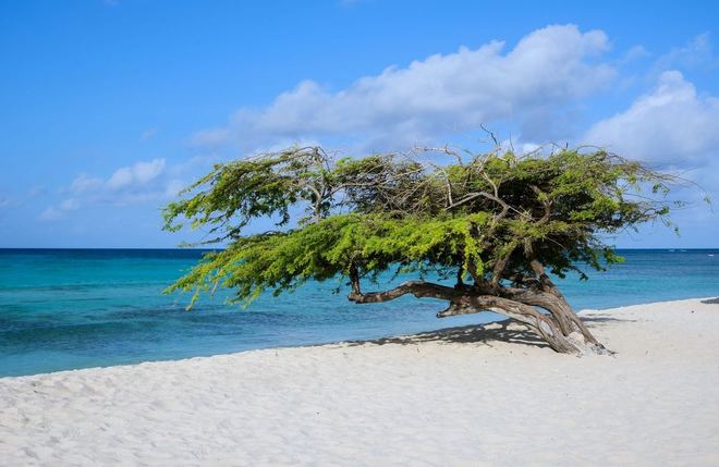 Aruba