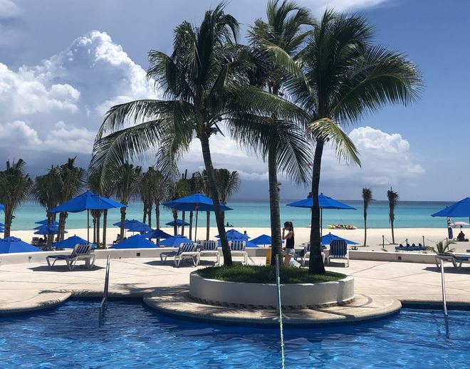 The Reef Playacar